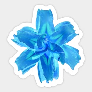 Filtered Cutout Orange Lily Photographic Image Sticker